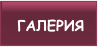 ГАЛЕРИЯ