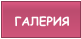 ГАЛЕРИЯ